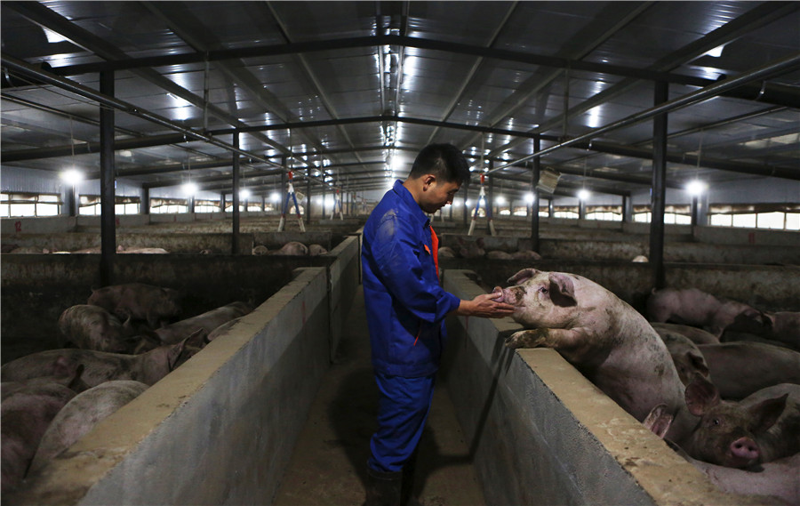 pork-Xinhua.jpeg