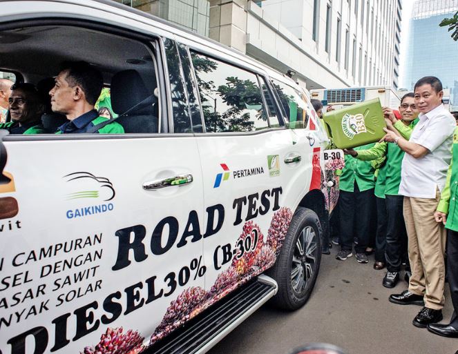 biodiesel indonesia (china plus).jpg