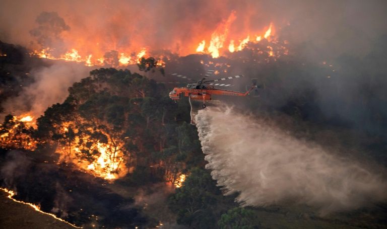 Australian fire.jpg