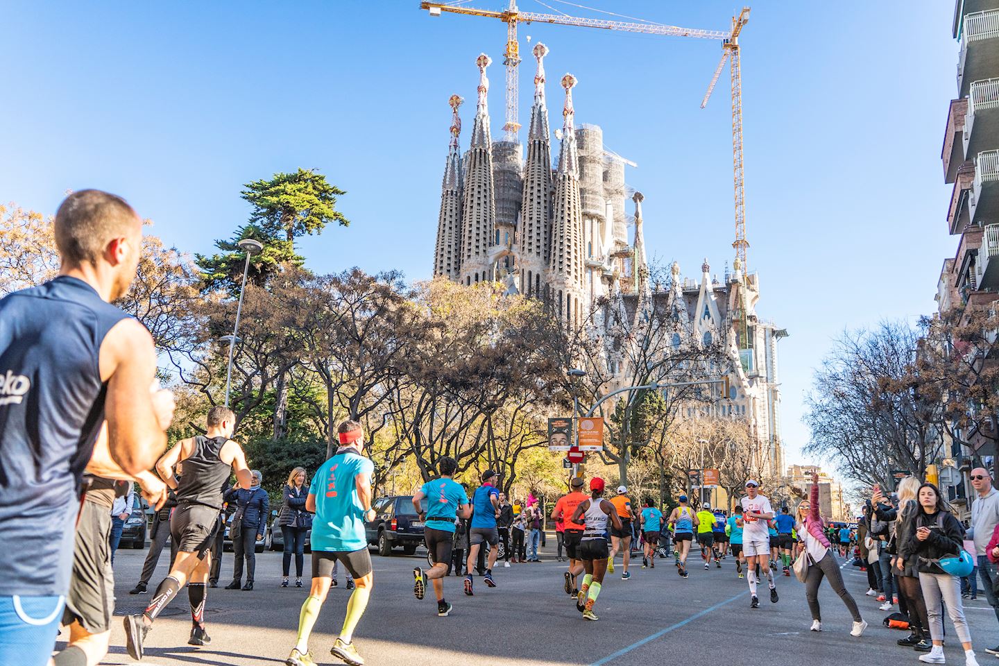 barcelona-marathon_1_barcelona-marathon.jpg