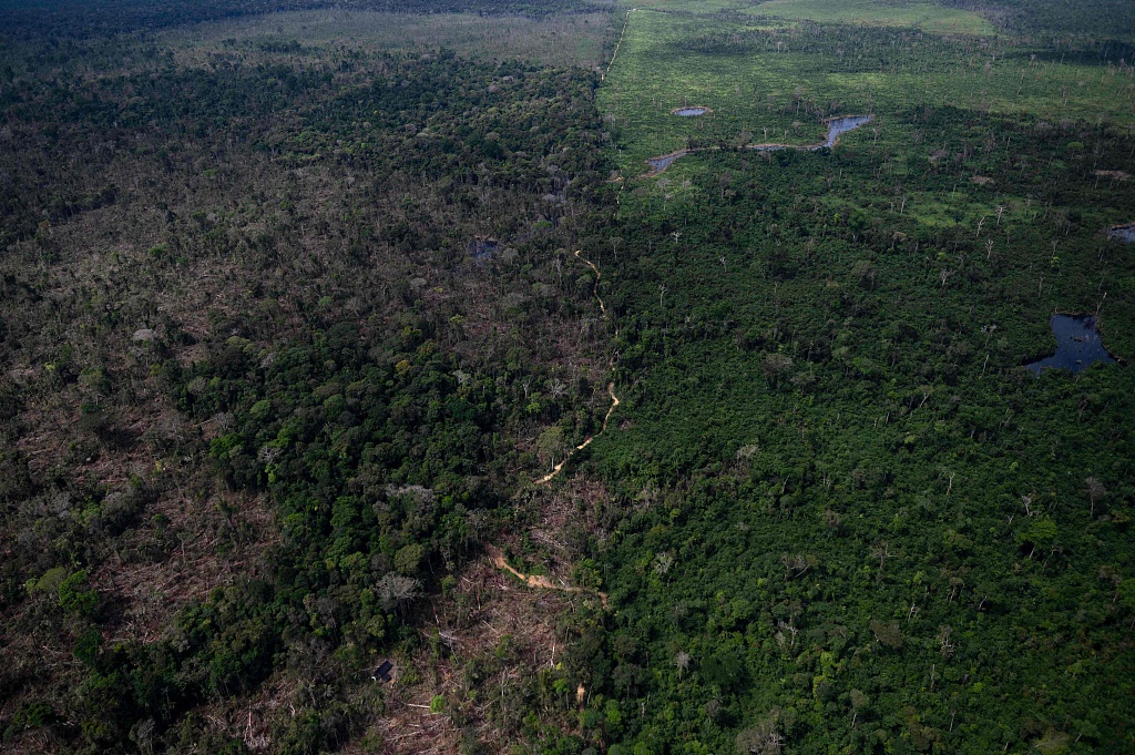 Aerial view shows a deforested area of the Amazon rainforest in Brazil, on June 6, 2022. /VCG