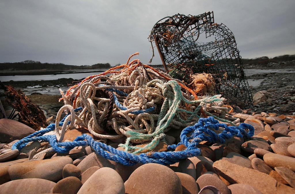 A washed-up lobster trap and tangled line sits on a beach in Biddeford, Maine, U.S., November 13, 2009. /CFP