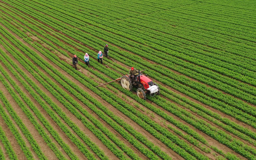 China to improve functions of agriculture and rural affairs ministry