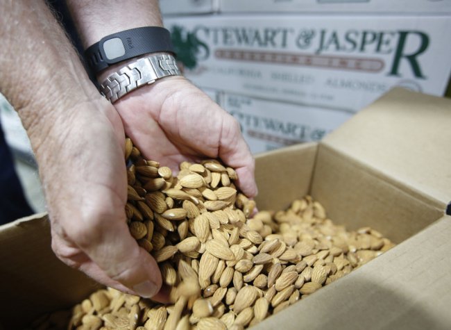 In this Tuesday, July 21, 2015 photo, Jim Jasper, owner of Stewart Jasper Orchards, displays a box of almonds that are ready for shipping at his processing plant in Newman, Calif. [File photo: AP/Rich Pedroncelli]