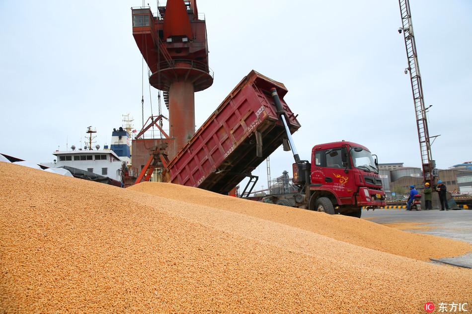 A truck unloads soybeans imported from Brazil on the quay of a port in Nantong city, in east China's Jiangsu Province, on April 4, 2018. [Photo: IC]
