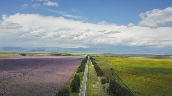 Aerial photo taken on Aug. 2, 2018 shows a road in Zhaosu County, northwest China's Xinjiang Uygur Autonomous Region. As an important link of the Silk Road Economic Belt, Xinjiang is speeding up the development of transportation and logistics to connect east and west.  (Xinhua/Hu Huhu)