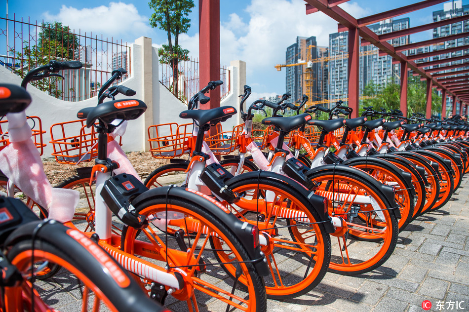 Mobikes parked at the side of a road.[Photo:IC]