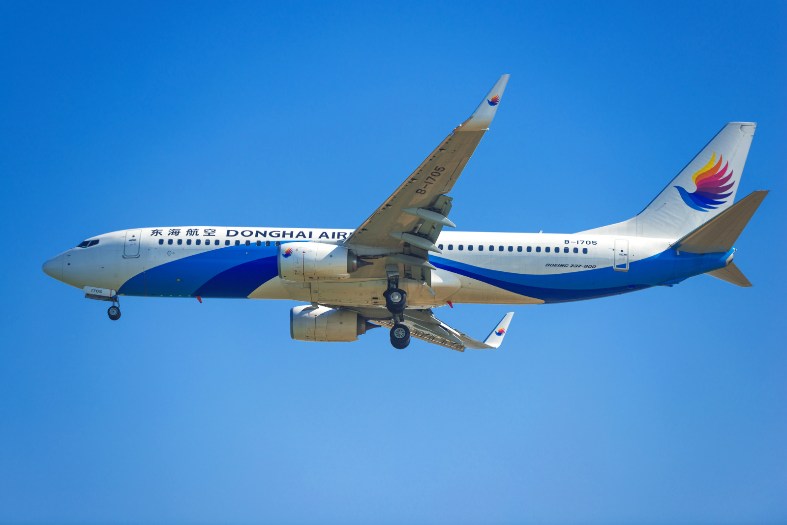A Boeing 737-800 passenger jet of Donghai Airlines prepares to land at Shenzhen Baoan International Airport in Shenzhen city, south China's Guangdong province, 30 December 2014.[File photo: IC]