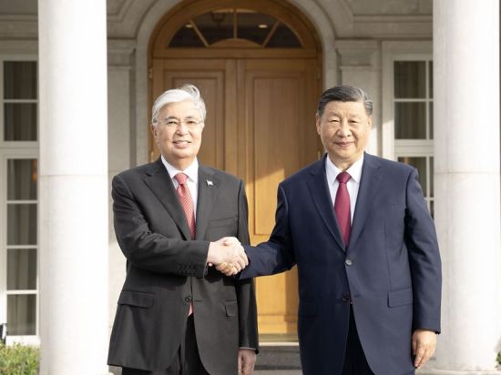 Chinese, Kazakh presidents hold small-group talks