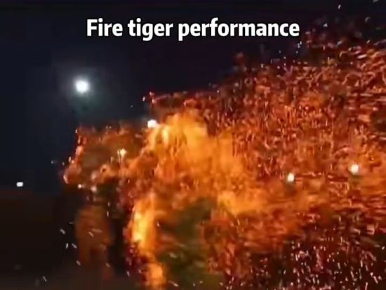 Trending in China | Fire tiger performance