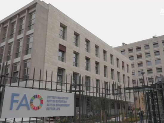 Xi congratulates UN Food and Agriculture Organization on 80th anniversary