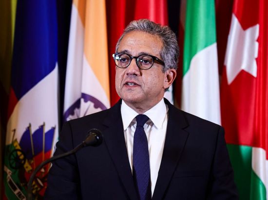 Former Egyptian minister Khaled El-Enany elected UNESCO director-general