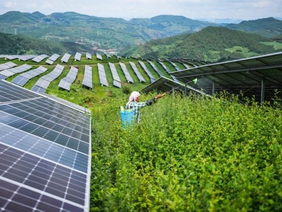 China makes notable progress in green, low-carbon energy transition: white paper