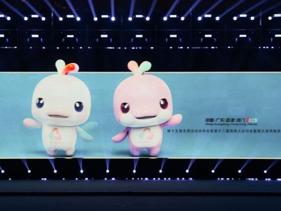 Cute, bouncy, viral: China's dolphin mascots take over the internet