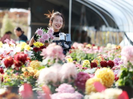 Moments of the week (11/10-11/16)