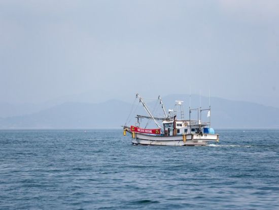 S. Korea pulls out of joint maritime search, rescue drill with Japan: media