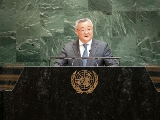 Japan totally unqualified to seek permanent seat on UN Security Council: China's permanent represent