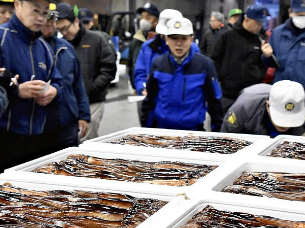 Japanese fisheries express concern over exports, urge government explanation