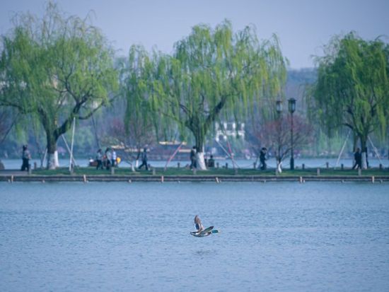 China makes historic achievements in river conservation, governance: report