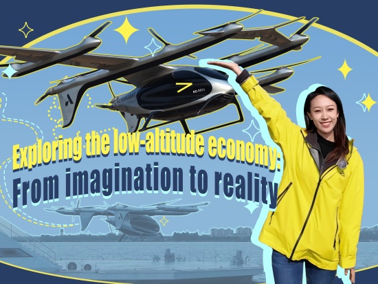 Exploring the low-altitude economy: From imagination to reality