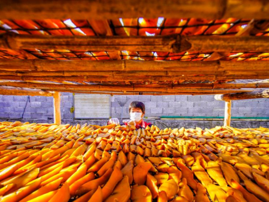 Moments of the week (11/17-11/23)