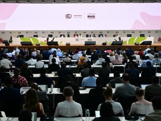 COP30 approves document calling for global mobilization against climate change