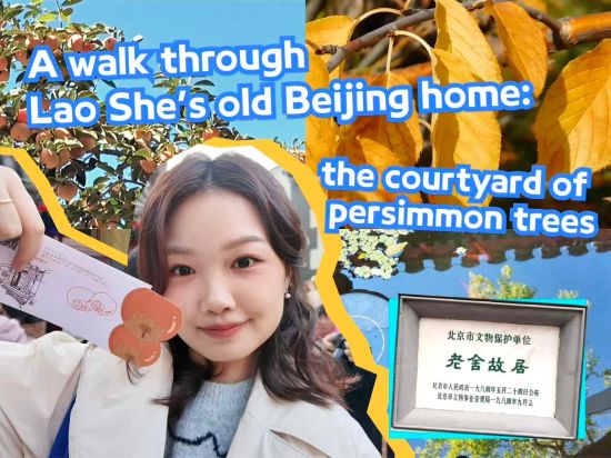 China Everything Vlog | A walk through Lao She's old Beijing home: the courtyard of persimmon trees