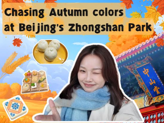China Everything Vlog | Chasing autumn colors at Beijing's Zhongshan Park