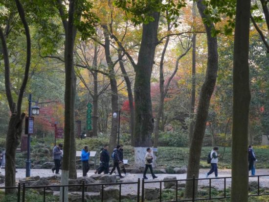 Hangzhou's Lingyin Feilai Peak Scenic Area launches free admission service