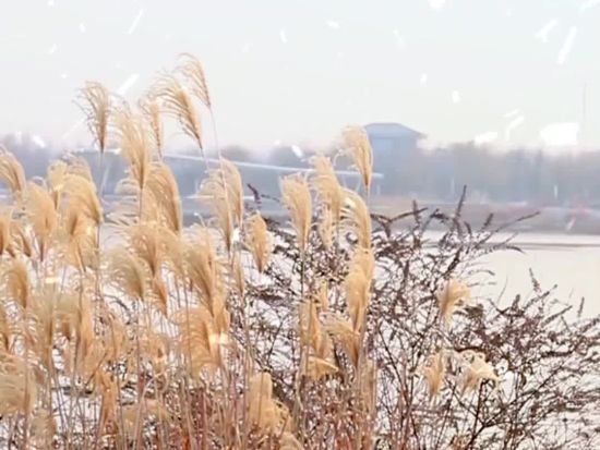 Trending in China | Major Snow