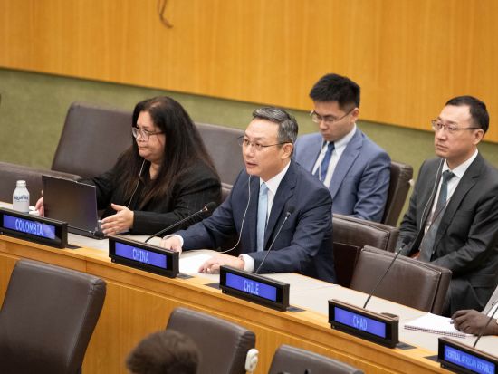 China calls for efforts to establish sustainable European security architecture