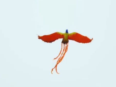 Trending in China | Feather kite