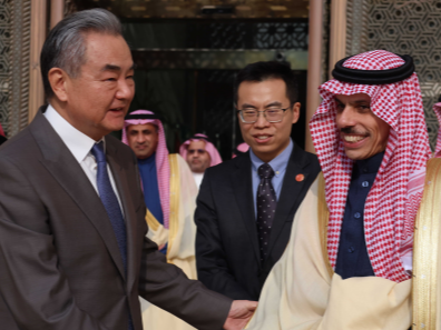 China willing to work with Saudi Arabia to elevate bilateral ties to new heights: FM