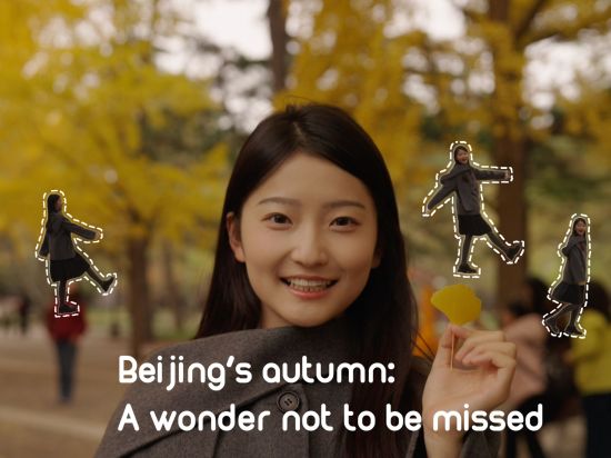 China Everything Vlog | Beijing's autumn: A wonder not to be missed