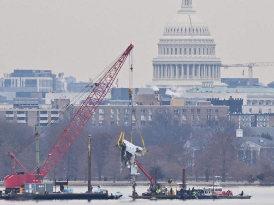 US government admits liability in fatal helicopter-plane collision in January