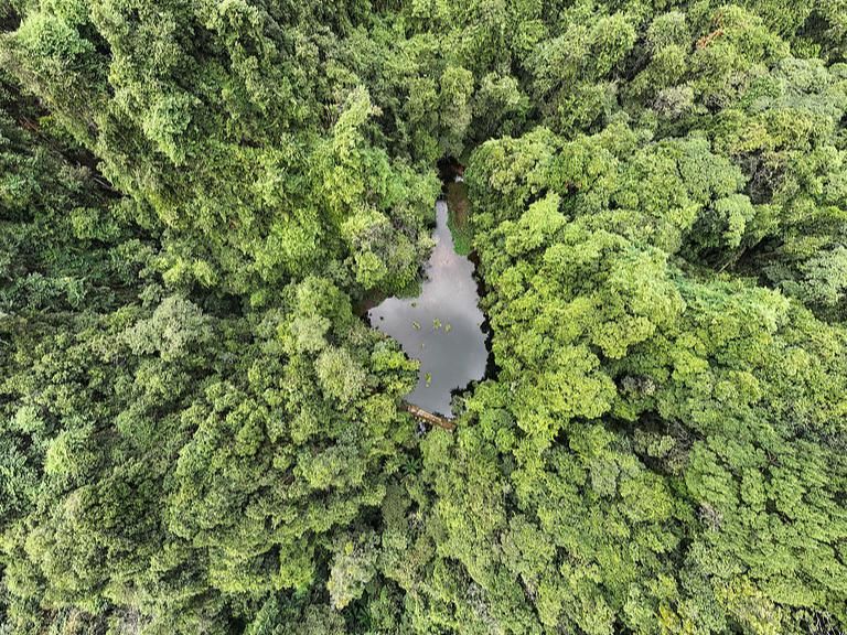 China reports progress in conserving forestry, grassland germplasm