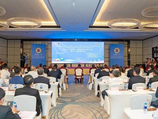 Chinese, Lao grid joint venture commences power transmission, transformation project