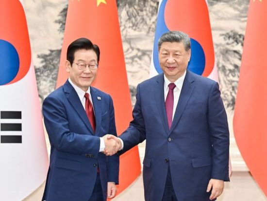 Xi holds talks with ROK President Lee Jae Myung