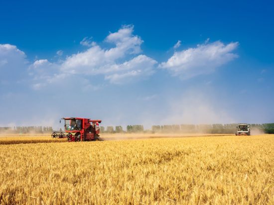 China rolls out festive campaign to boost sustainable agricultural consumption