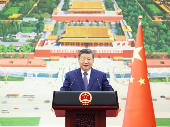 Xi receives credentials of new ambassadors to China