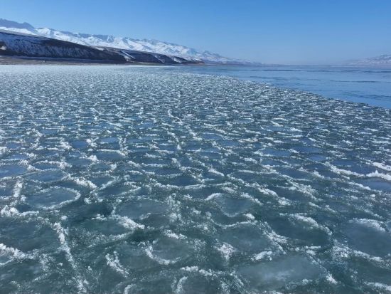 ‌Rare 'ice lotus' phenomenon appears on Ili River in northwest China's Xinjiang