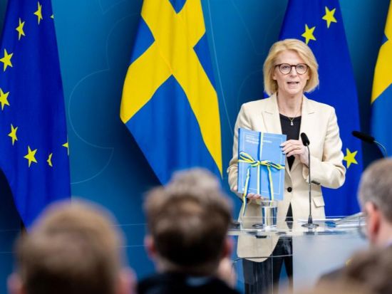 Swedish FM slams US tariffs on Greenland as 'new low' in global policy