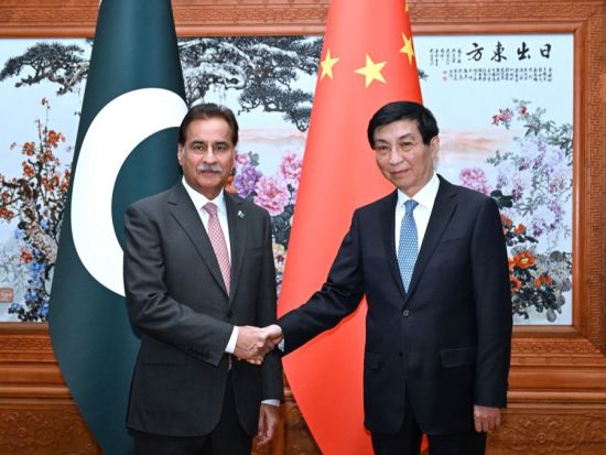 China's top political advisor meets with speaker of National Assembly of Pakistan