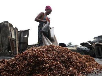 In pics: traditional millet beer brewing process in Cote d'Ivoire