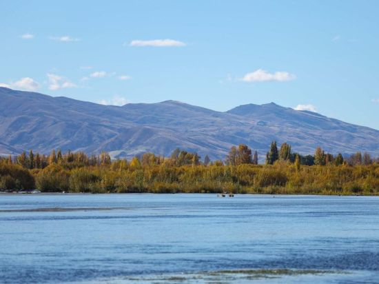 New Zealand annual inflation hits 3.1 pct
