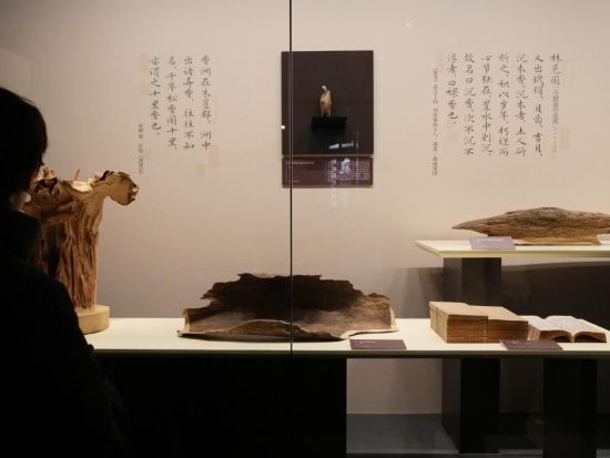 Agarwood exhibition steeps Shanghai museum in fragrance