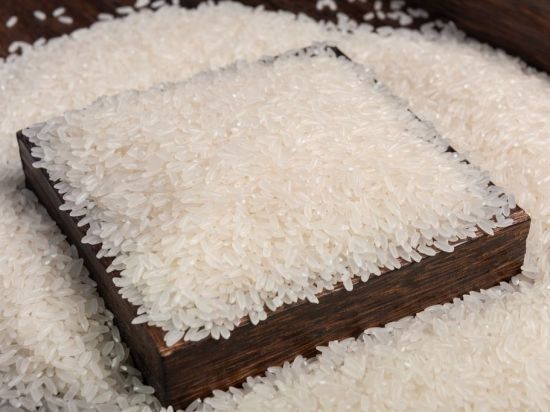 China's top grain-producing province enhances agricultural returns via expanded contract farming