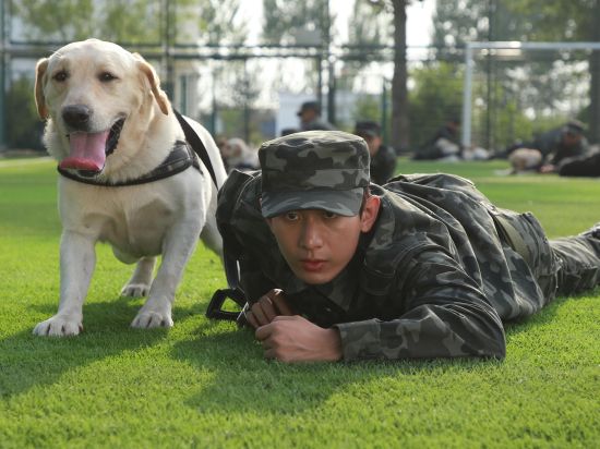 Film 'Year of the Dog' set for release on Valentine's Day