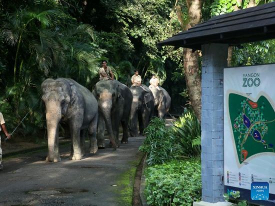 Oldest zoo in Myanmar celebrates 120th anniversary