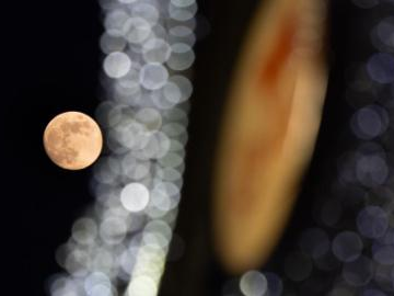 People's Daily English language App